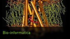 Bio-informatica