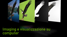 Imaging e visualizzazione su computer
