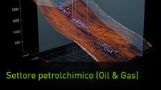 Settore petrolchimico (Oil & Gas)