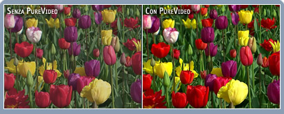 Colori precisi e vivaci su qualsiasi display