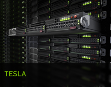 Case study di Tesla