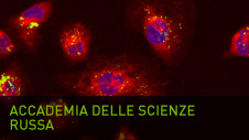 Accademia delle scienze russa