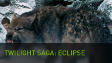 The Twilight Saga Eclipse