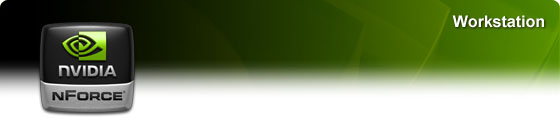 NVIDIA nForce Professional per workstation