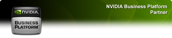 NVIDIA Business Platform