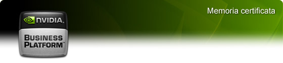 NVIDIA Business Platform -
Memoria certificata